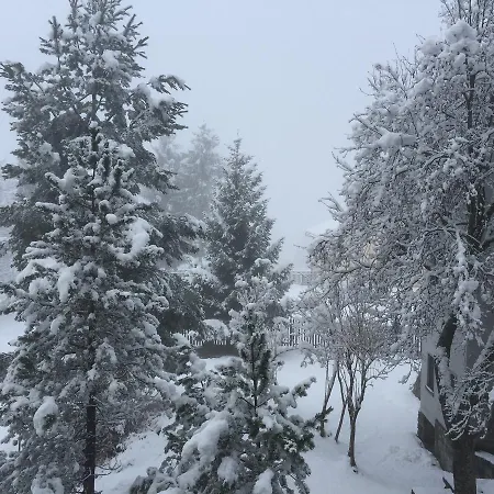 Disentis Disentis