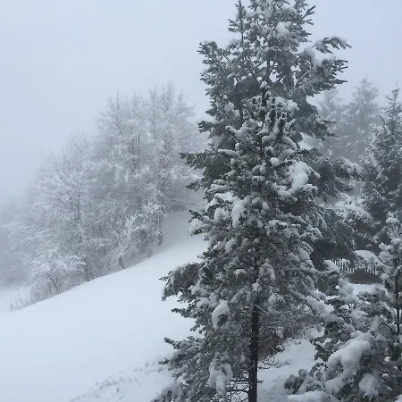 Disentis *