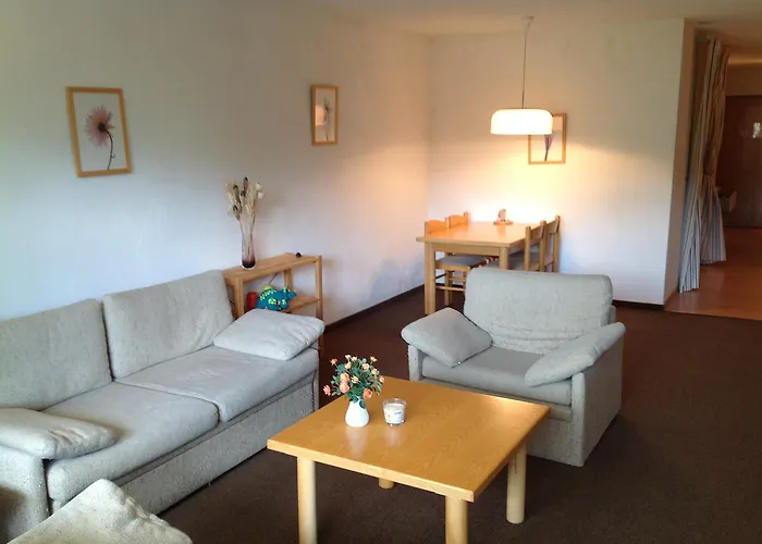 Disentis Appartement