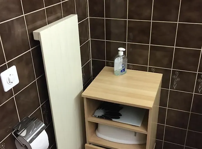 Appartement Disentis Disentis