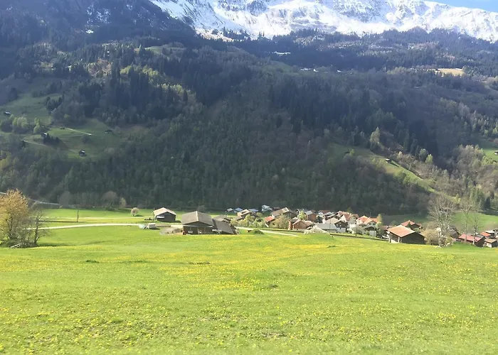 Disentis Appartement