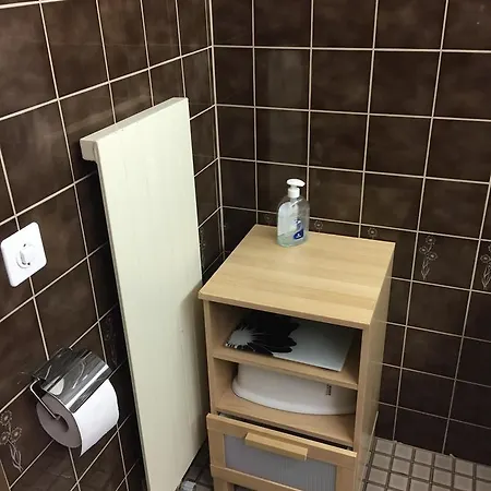 Apartament Disentis Disentis